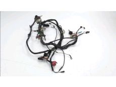Faisceau electrique