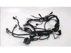 Faisceau electrique