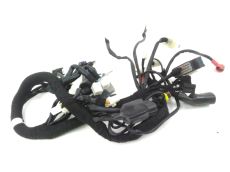 Faisceau electrique