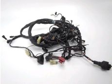 Faisceau electrique