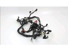Faisceau electrique