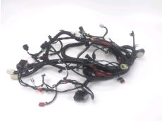 Faisceau electrique