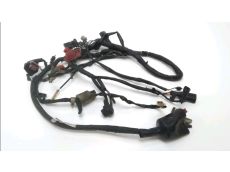 Faisceau electrique
