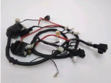 Faisceau electrique