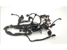 Faisceau electrique