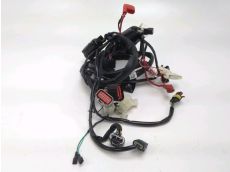 Faisceau electrique