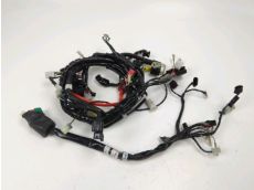 Faisceau electrique