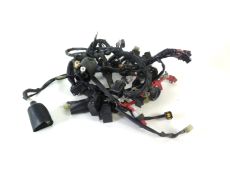 Faisceau electrique