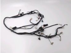 Faisceau electrique