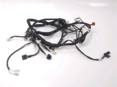 Faisceau electrique