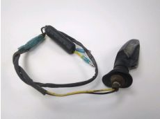 Clignotant arriere g