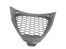 Grille de radiateur