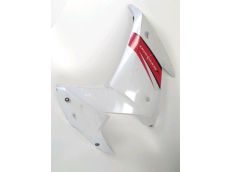 Carenage avant gauche