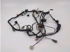 Faisceau electrique