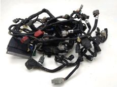 Faisceau electrique