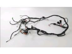 Faisceau electrique