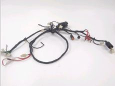 Faisceau electrique