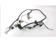 Faisceau electrique