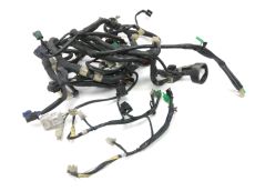 Faisceau electrique