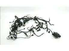 Faisceau electrique