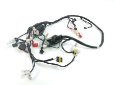 Faisceau electrique