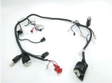 Faisceau electrique
