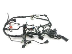 Faisceau electrique