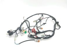 Faisceau electrique