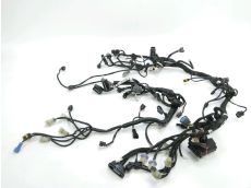 Faisceau electrique