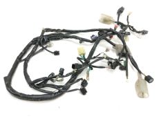 Faisceau electrique