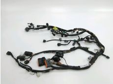 Faisceau electrique