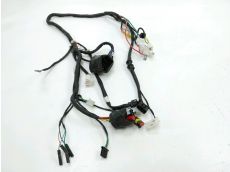 Faisceau electrique