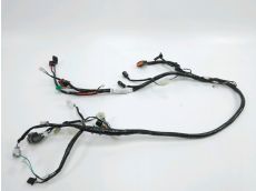Faisceau electrique