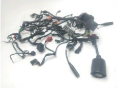 Faisceau electrique