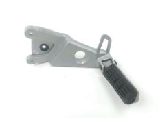 Platine arriere gauche complete