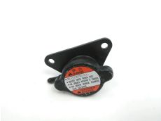 Bouchon de radiateur