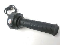 Accelerateur ride by wire