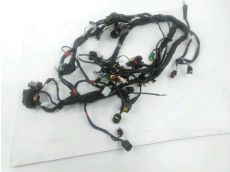 Faisceau electrique