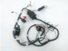 Faisceau electrique
