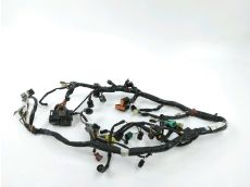 Faisceau electrique