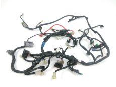 Faisceau electrique