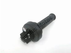 Accelerateur ride by wire