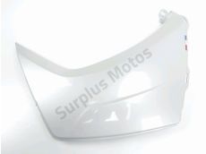 Sous face de carenage gauche