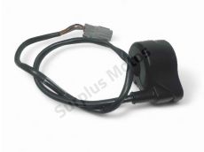 Accelerateur ride by wire