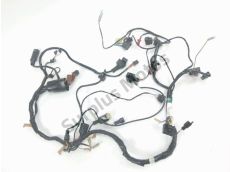 Faisceau electrique