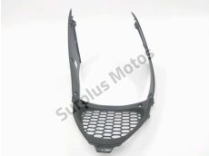 Grille de radiateur