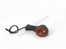 Clignotant arriere d