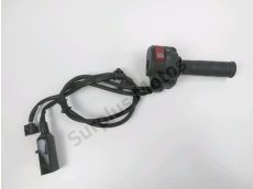 Accelerateur ride by wire