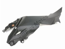 Flanc carenage gauche