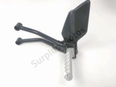 Platine arriere gauche complete